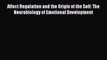 Read Affect Regulation and the Origin of the Self: The Neurobiology of Emotional Development