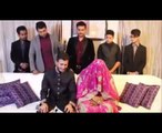 Funny Shahveer Jafry Zaid Ali And Sham Idrees Compiled Videos of 2016