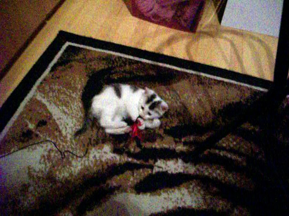 Vinzent am 17.10.2015