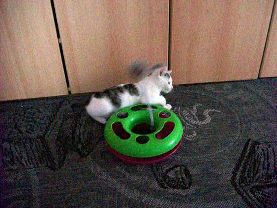 Vinzent am 24.10.2015