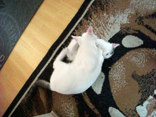 Harvey und Vinzent am 25.10.2015