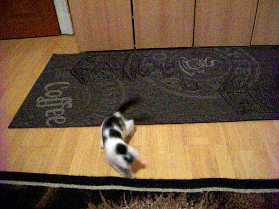 Harvey und Vinzent am 25.10.2015