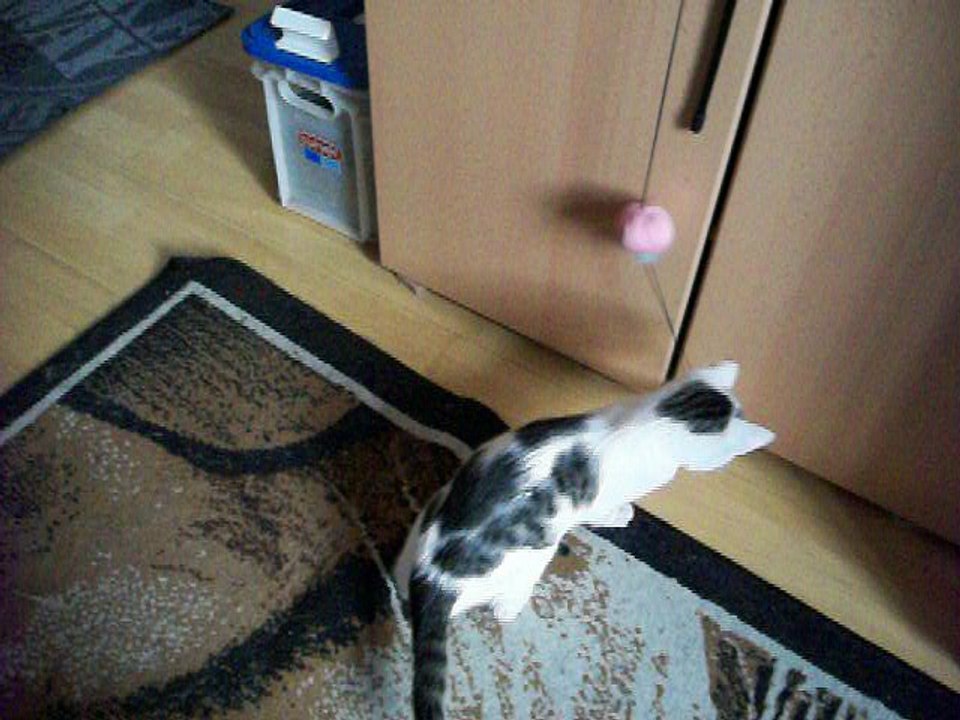 Harvey und Vinzent am 04.12.2015