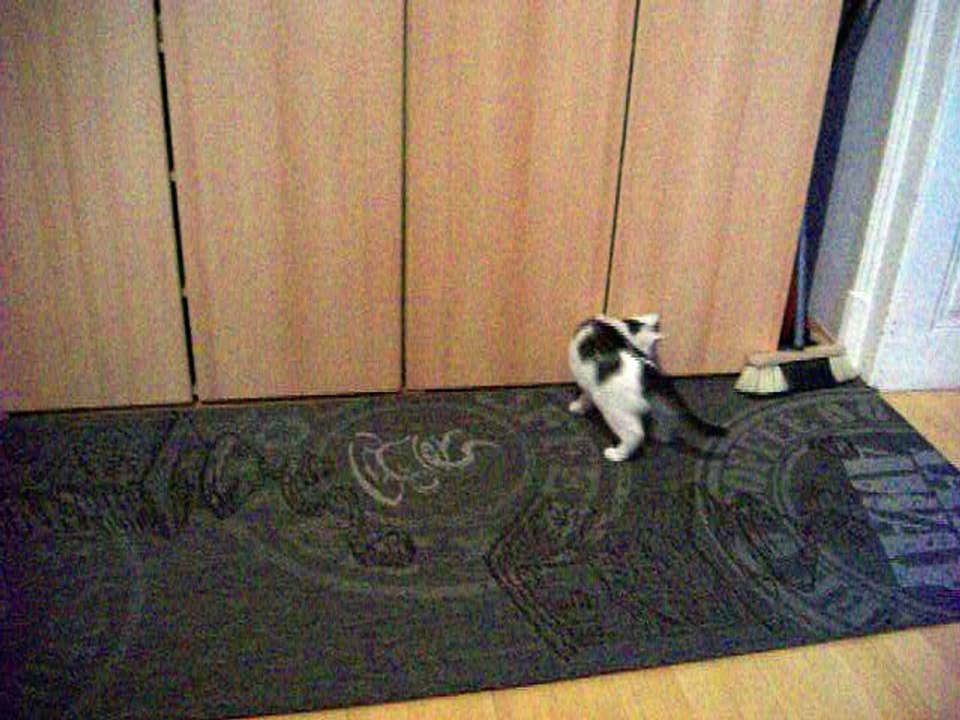 Harvey und Vinzent am 08.12.2015