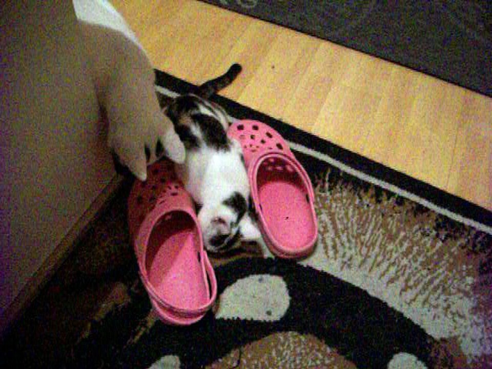 Harvey und Vinzent am 09.12.2015