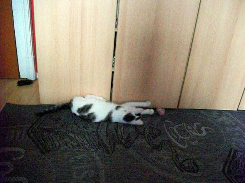 Harvey und Vinzent am 28.12.2015