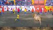 Raging bull punishes cocky bullfighter who mocks 450kg beast without a cape