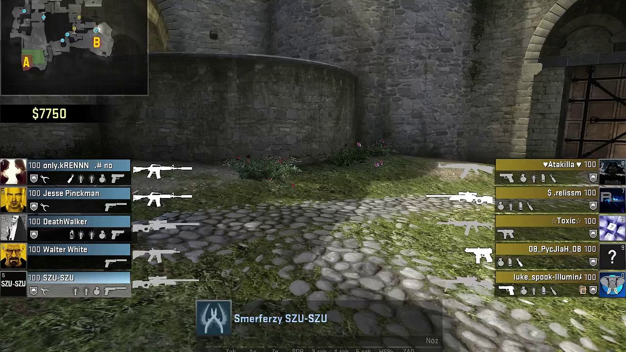 Ace Cs go