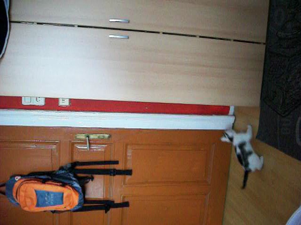 Harvey und Vinzent am 07.11.2015