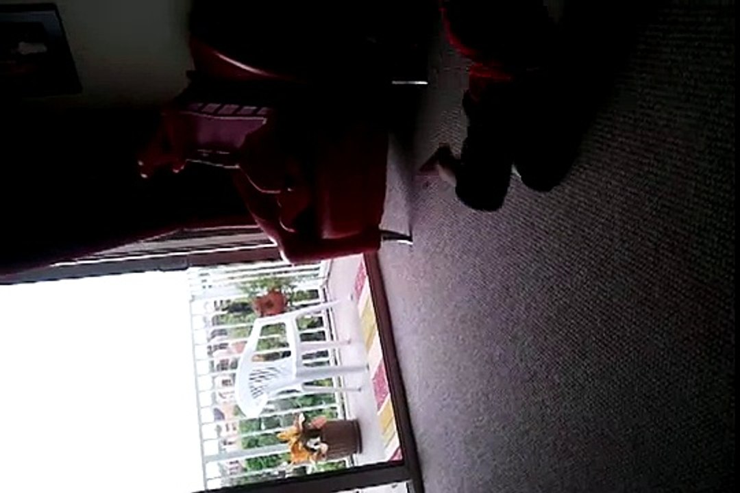 video 2011 07 27 14 50 09