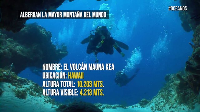 Los océanos y los secretos que ocultan en sus profundidades