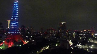 ザ・プリンス パークホテル東京　29階からの夜景