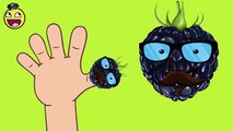 Children's Songs | Blackberry Fruit Finger Family Song for Kids | Kids Songs Playlist
