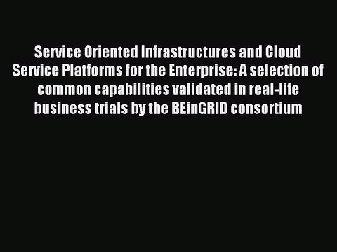 Read Service Oriented Infrastructures and Cloud Service Platforms for the Enterprise: A selection