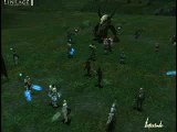 Lineage 2 Raid on Sieghardt Server