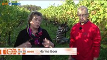 Het Weer: Harma bie de boer [29-10-2015] - RTV Noord