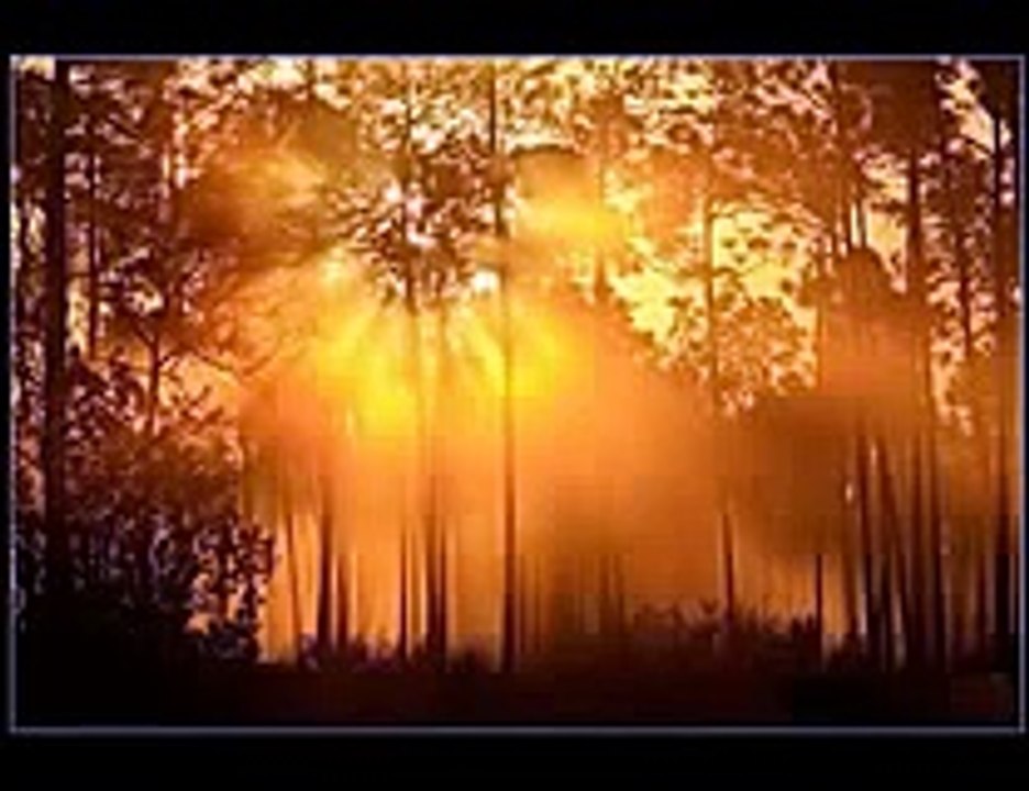เพลงใกล้รุ่ง บทเพลงพระราชนิพนธ์ฯ - YouTube
