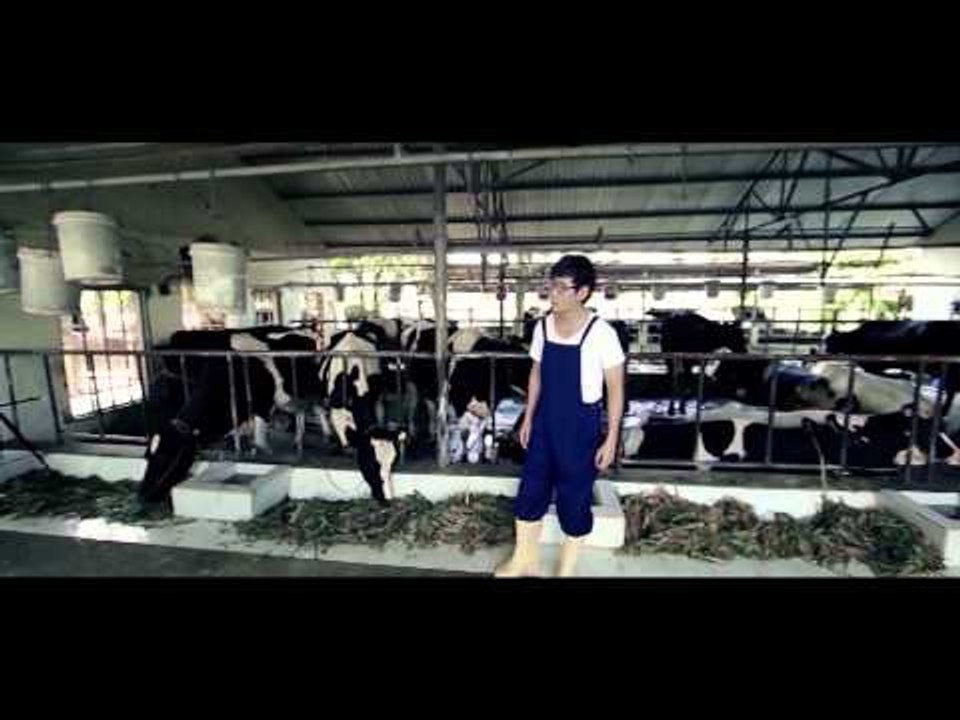 Mún Yêu Em Như Ngày Xưa - Lý Hải [Official] Album Mún Yêu Em Như Ngày Xưa