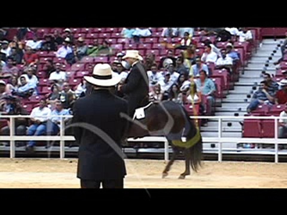 Mundial Puertorico clase 25 .mov
