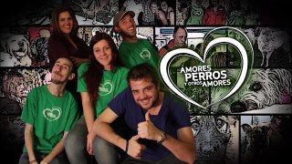 Amores Perros y Otros Amores - Top Nutrition 19 de abril 2015