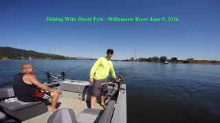 Spring Chinook Salmon Fishing on the Willamette River June 5, 2016