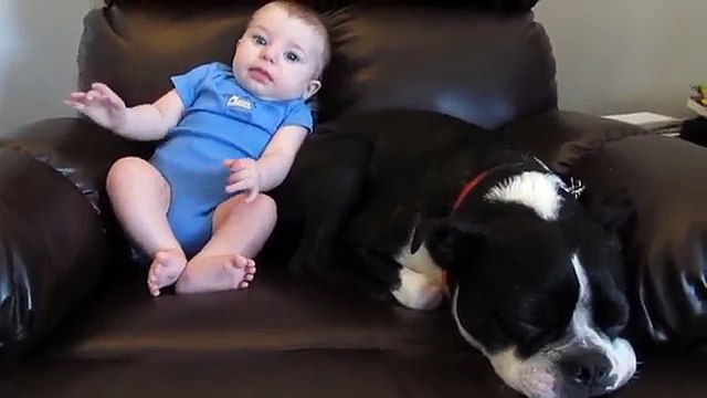Quand un bébé fait caca dans son pyjama à la présence d'un chien..