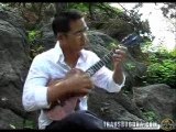 Jake Shimabukuro (Ukelele) - While My Guitar Gently Sweeps