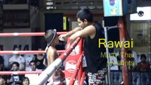 Rawai Muay Thai Young boxer 