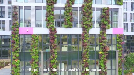 Orange Gardens par Marie-Noelle Jego-Laveissière