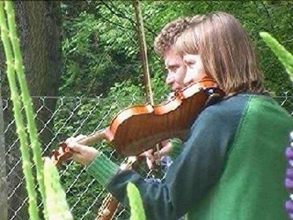 Maurice et la musique