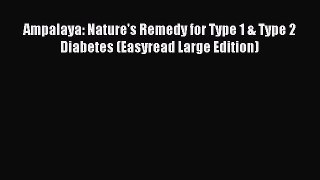 Read Ampalaya: Nature's Remedy for Type 1 & Type 2 Diabetes (Easyread Large Edition) Ebook