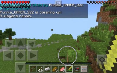 Minecraft survival games!
