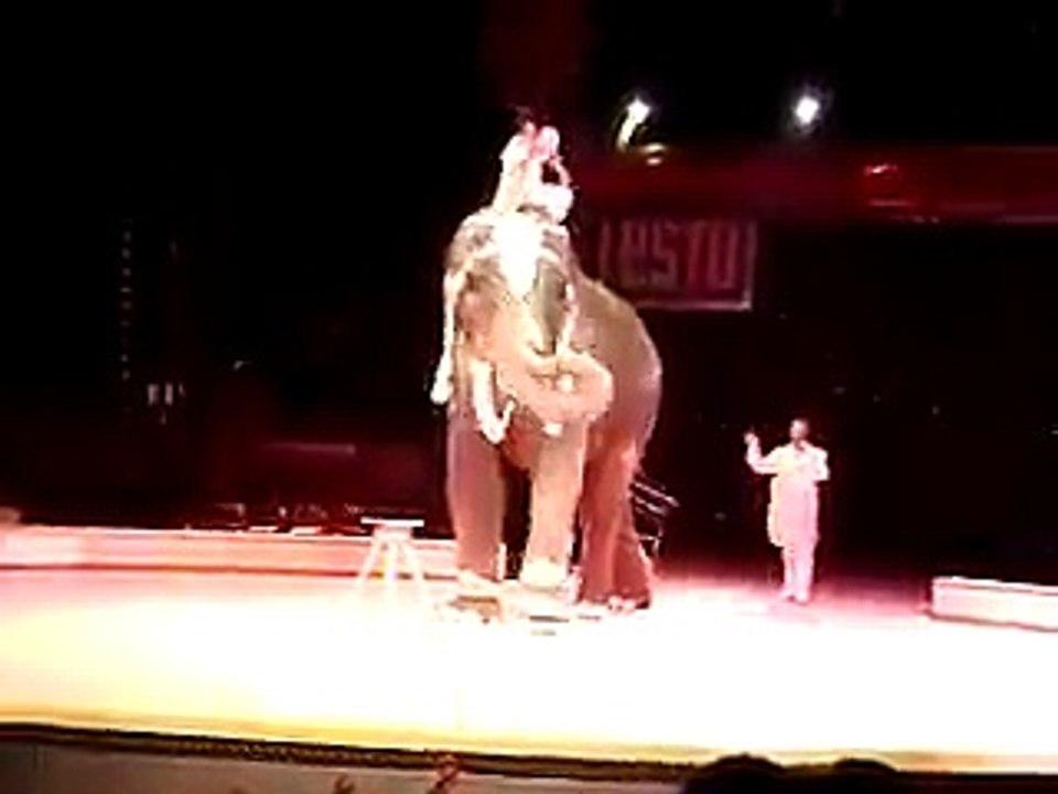 A man funny dance with an elephant