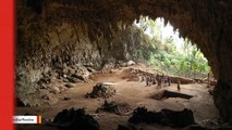 New Fossils Provide Clues To Mysterious 'Hobbit' Ancestors