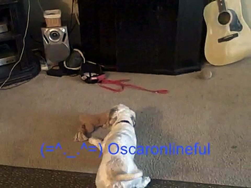 Tobys First Appearance