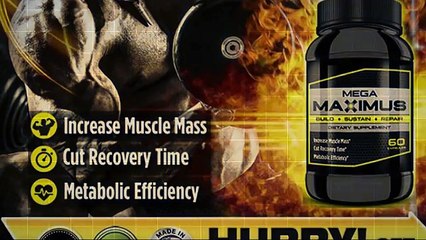 Mega Maximus Reviews