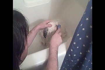 Tobys Bath Time
