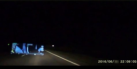 Видео дня : В Астраханской области стадо верблюдов растоптало автомобиль Toyota