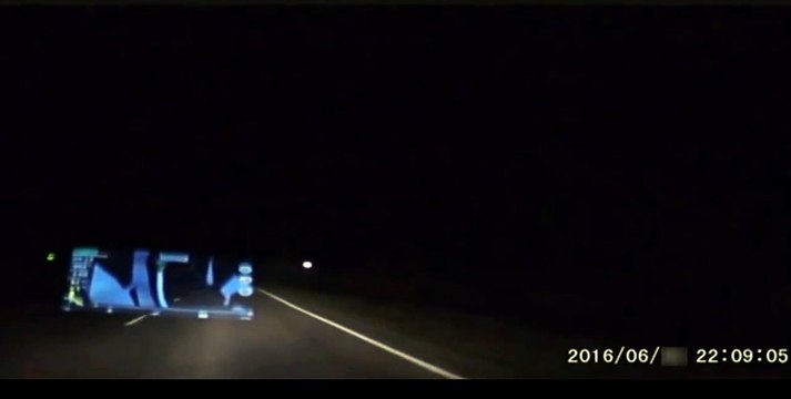 Видео дня : В Астраханской области стадо верблюдов растоптало автомобиль Toyota