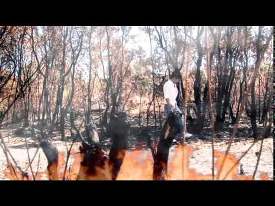 Màu Xanh- Lý Hải [Official]