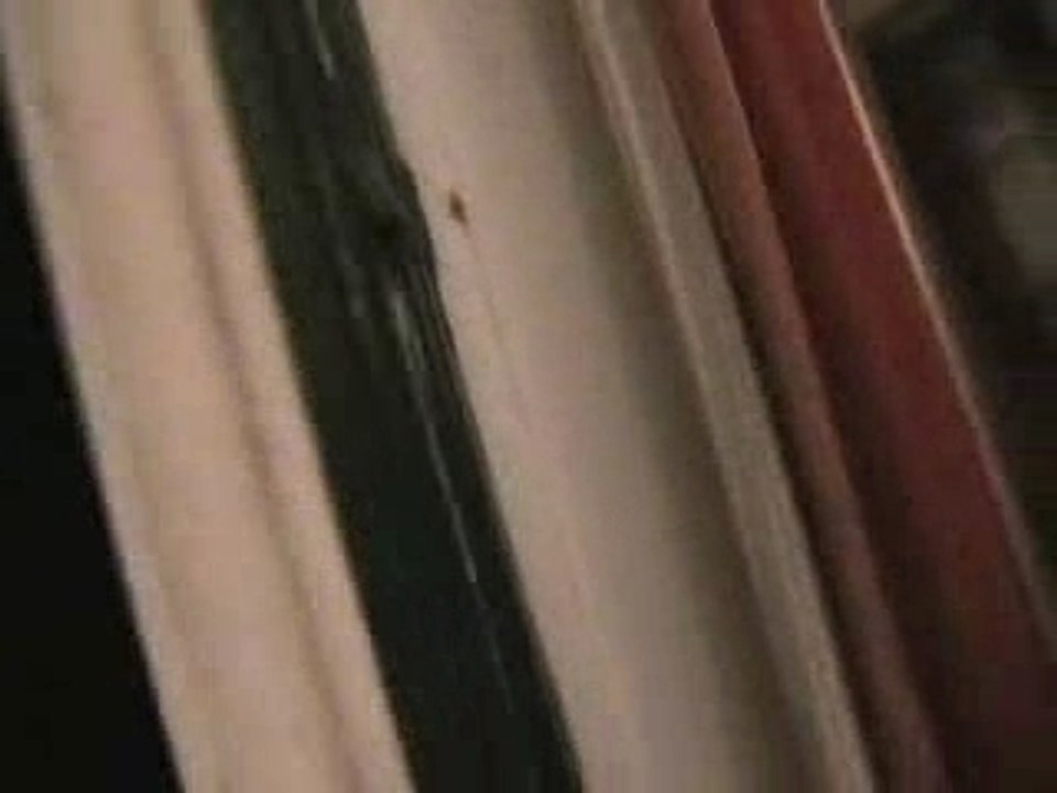 V. Paradise Movie Part 1.