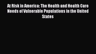 READbook At Risk in America: The Health and Health Care Needs of Vulnerable Populations in