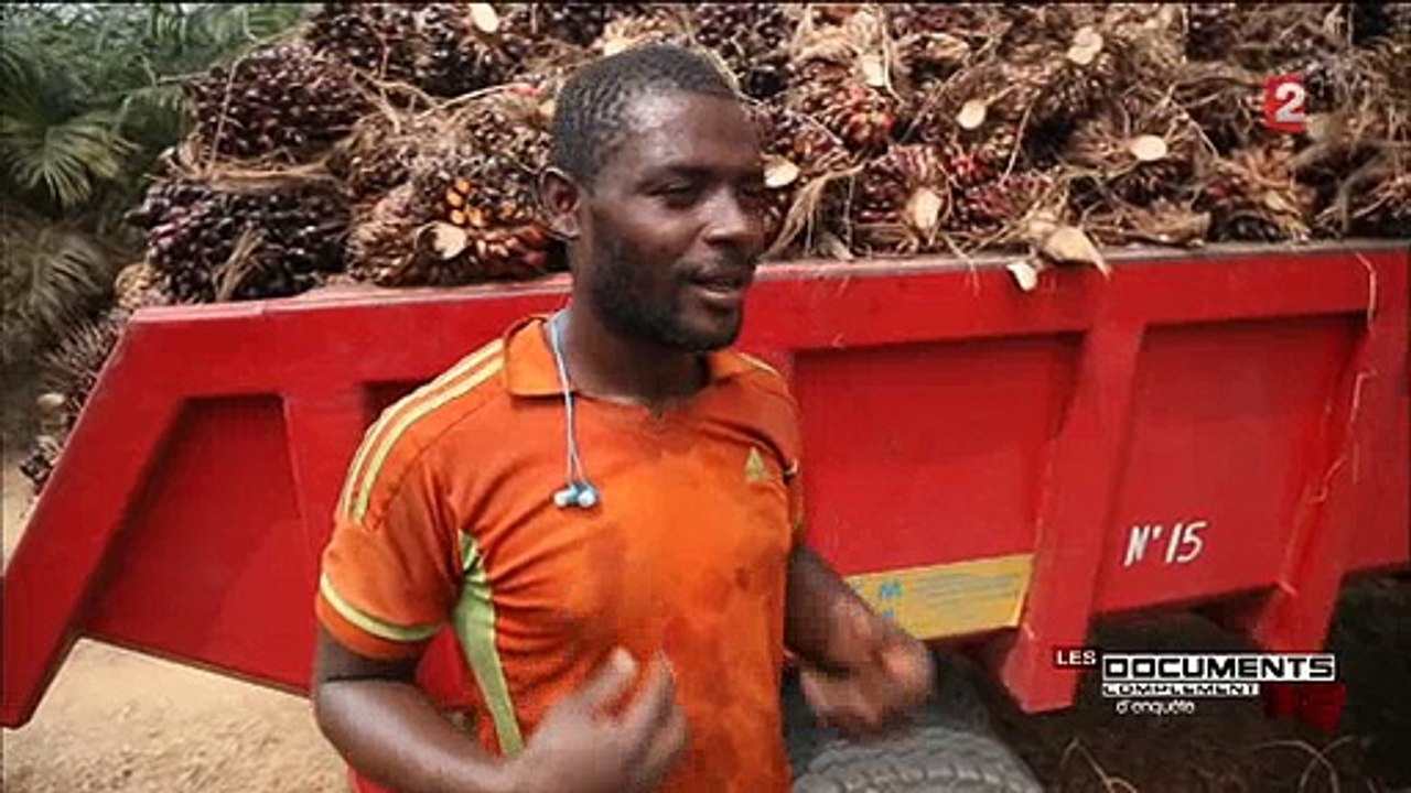 Vincent Bolloré accuse France 2 d'avoir bidonné un reportage de "Complément d'enquête" sur ses activités au Cameroun
