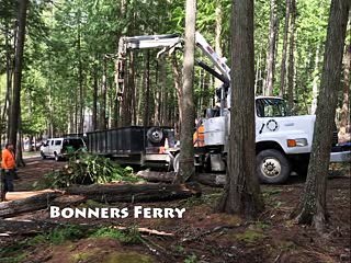 Tree Service Priest Lake Idaho