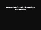 Read Energy and the Ecological Economics of Sustainability Ebook Online