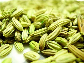 SONF FENNEL SEED HEALTH EDUCATION