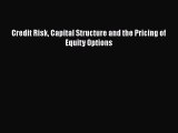 Read Credit Risk Capital Structure and the Pricing of Equity Options Free Books