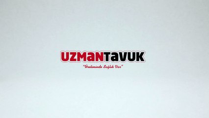 uzman tavuk