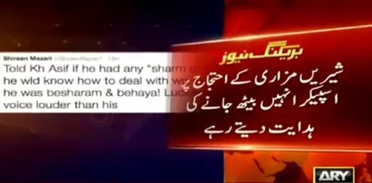 Mr. Speaker! Tell the tractor trolley to be quite - Khawaja Asif called Mazari a ‘tractor trolley