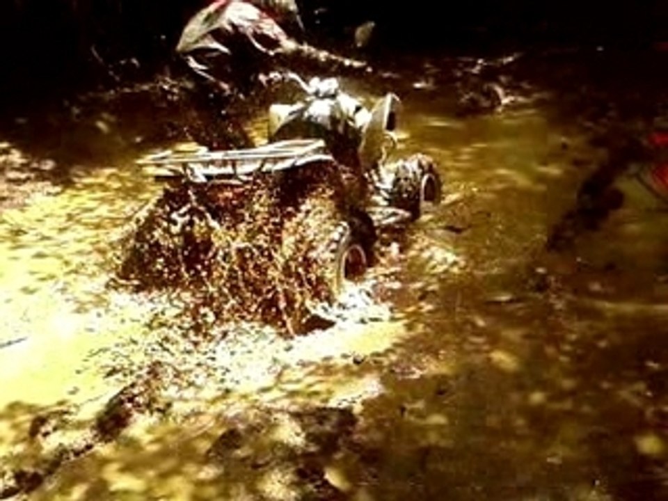 Sorti quad